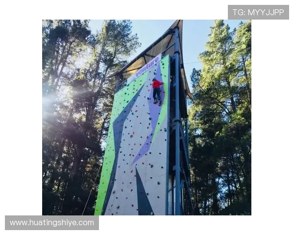 张秀英亲述攀岩技巧与心路历程分享，助你征服高峰