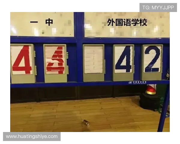 成都篮球队进攻策略分析与得失评估探讨